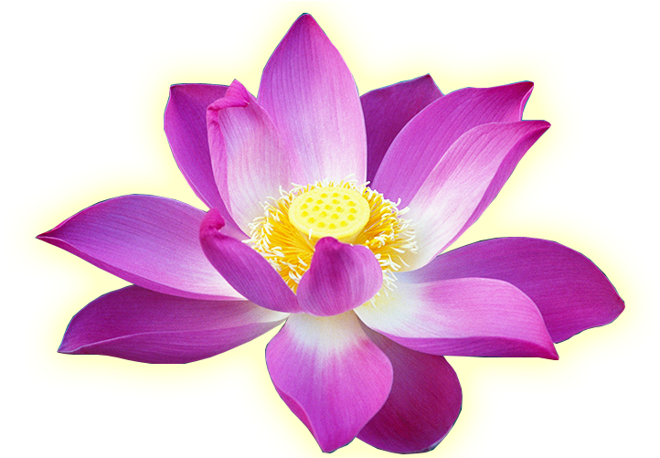 The Way To Practice Meditation And Short Life Story (800x500), Png Download