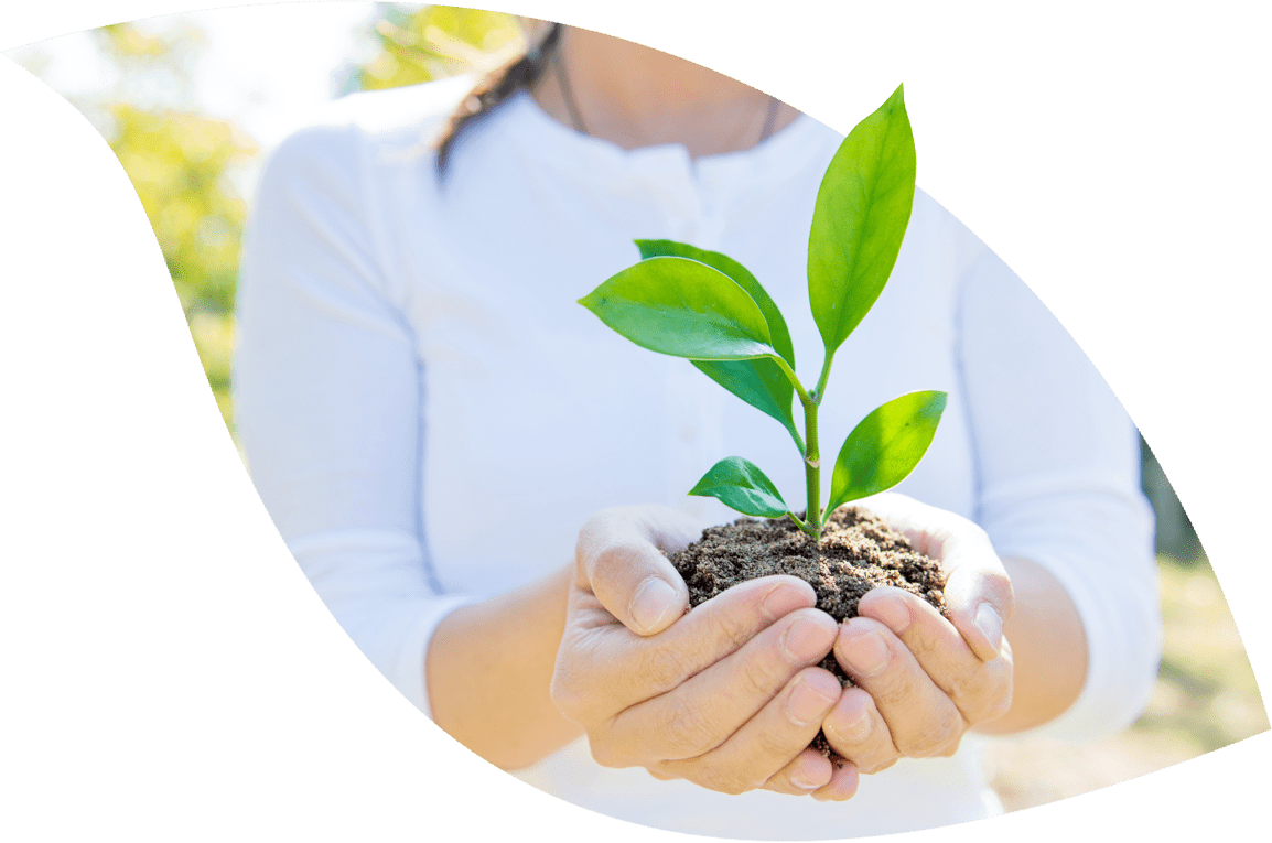 Send Emails, Plant Trees - Hand (1154x765), Png Download