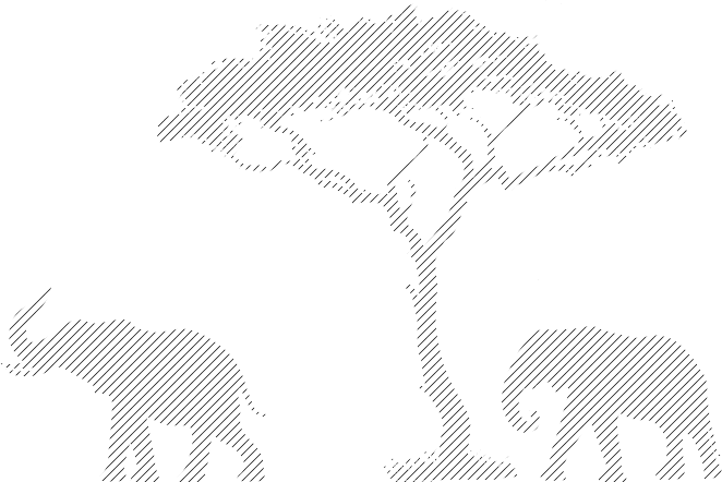 App-right Bg - African Tree (662x442), Png Download