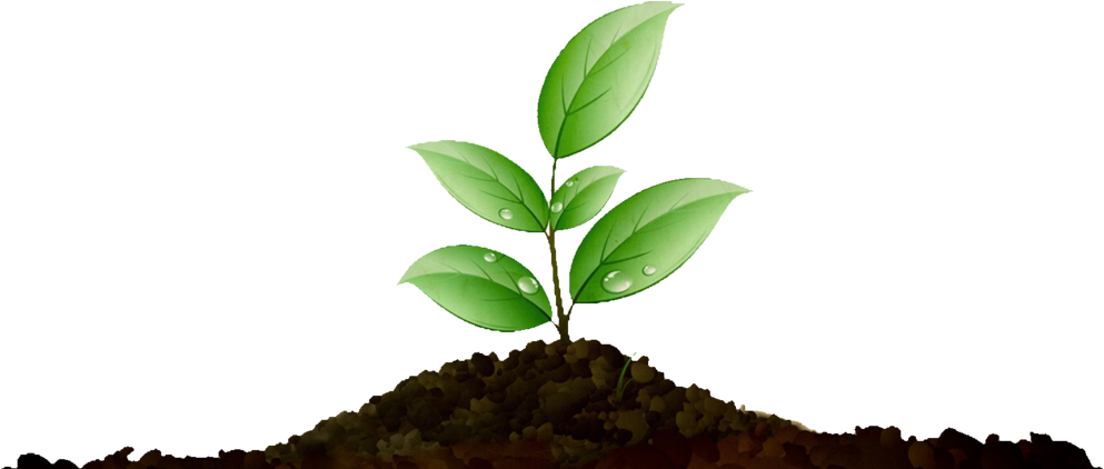 Grow With Us - Heres To New Beginnings Quotes (1000x421), Png Download