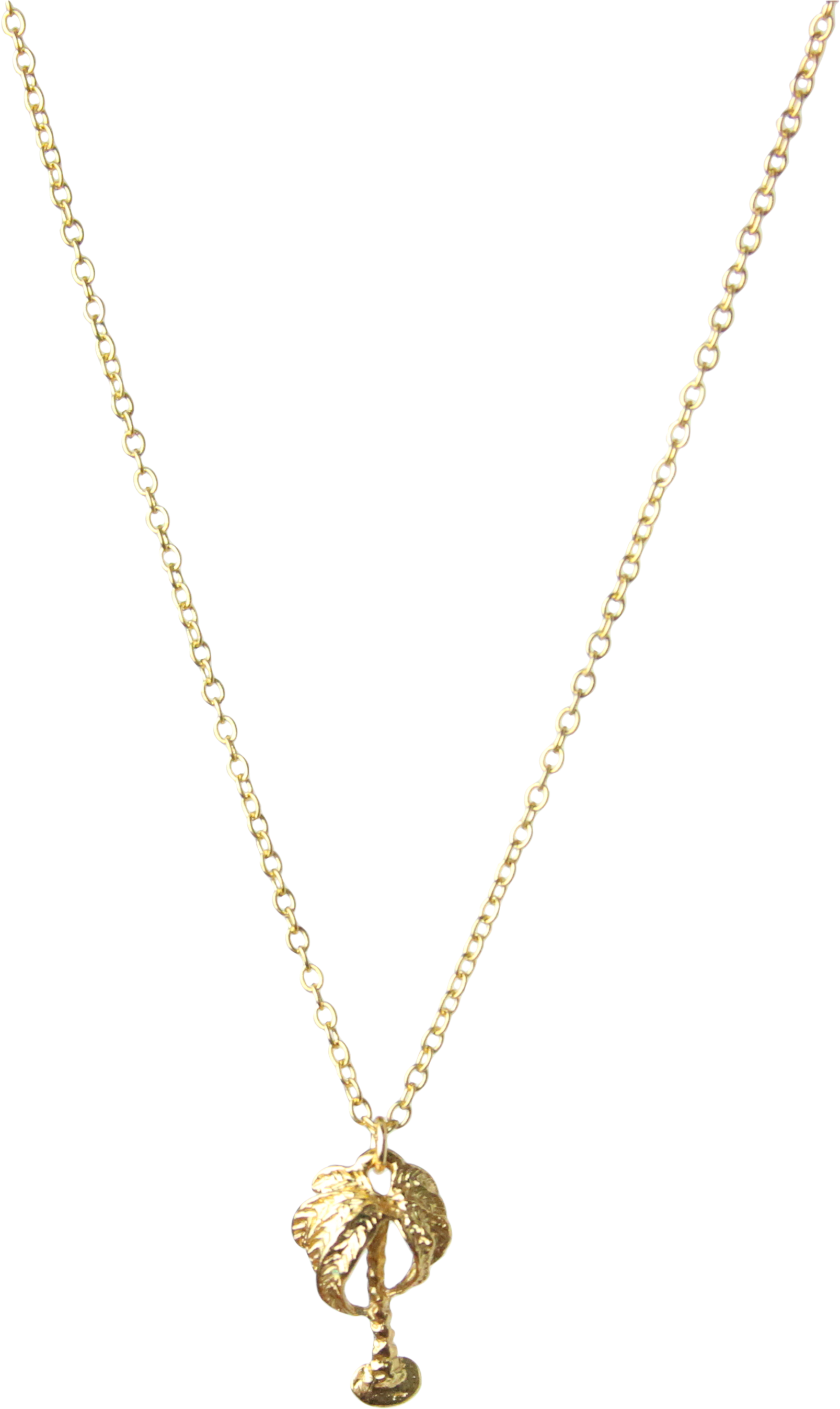 Mini Palm Tree Charm Necklace In Gold Vermeil - Gold Chain For Girls (2834x2834), Png Download