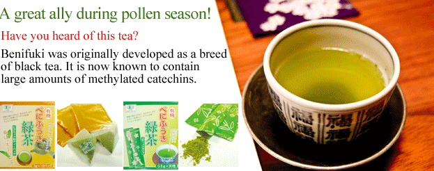 永田茶園 有機べにふうき緑茶(スティックタイプ)粉末 0.5g×30 2832 (623x246), Png Download