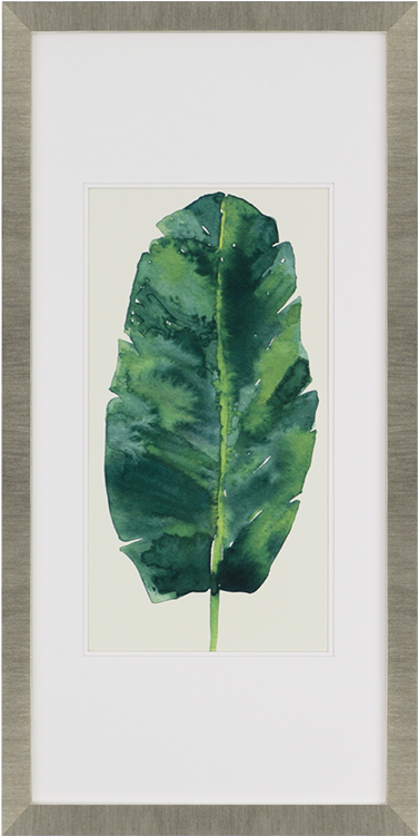 Framed Leaves (750x750), Png Download