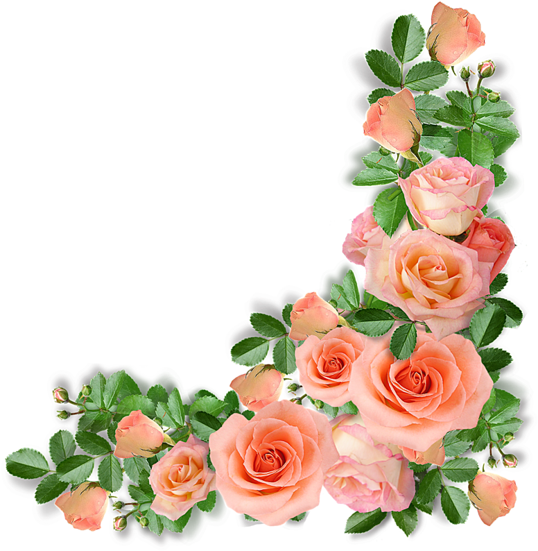 Download Foto Avtor Videosyper Fresh Flower Png Png Image With No Background Pngkey Com