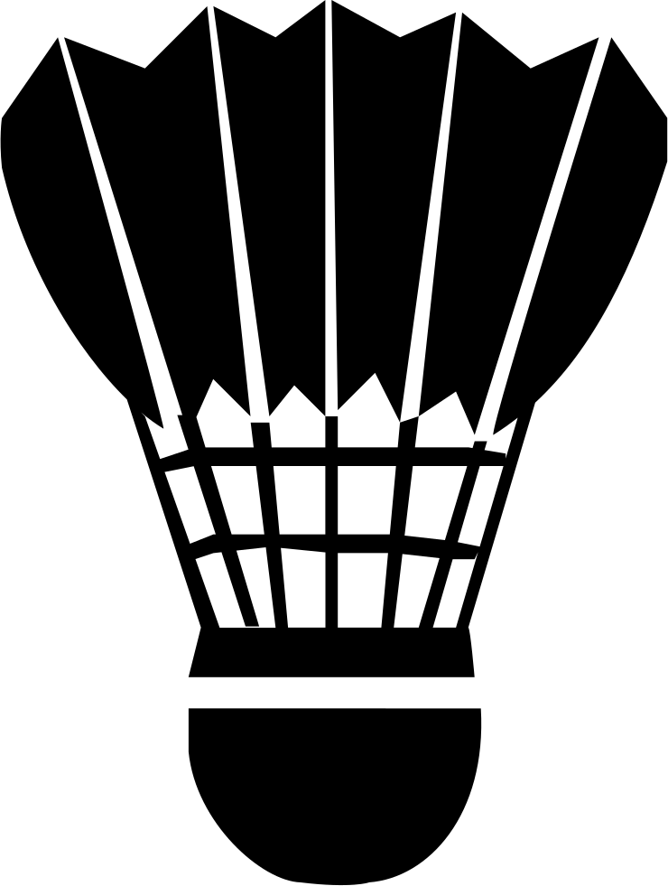 Badminton Comments - Badminton Vector Png (740x981), Png Download