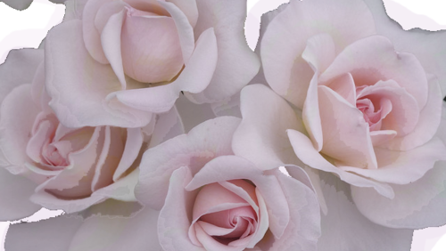 Indie/tribal - Soft Grunge (500x282), Png Download