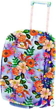 Suitcase (480x480), Png Download