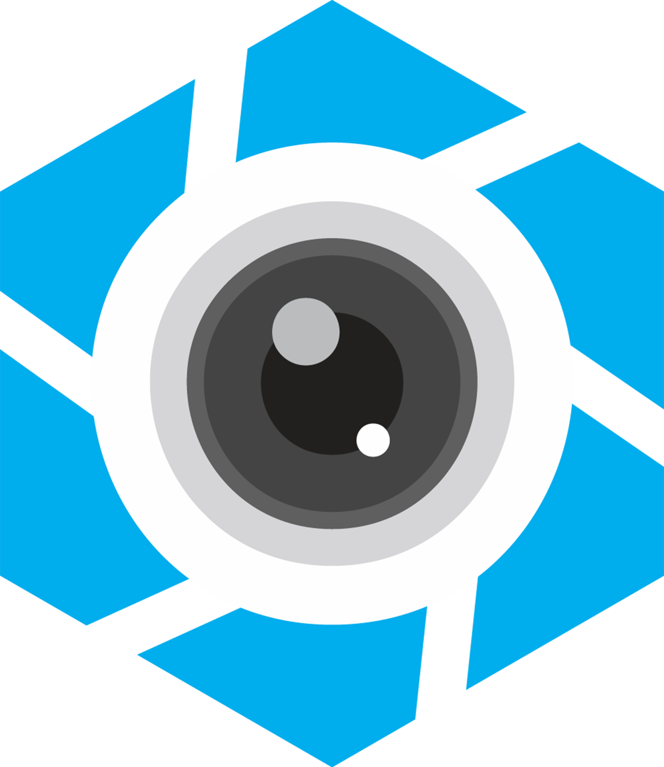 Vector Black And White Library Lens Vector Abstract - Blue Lens Vector (1299x1500), Png Download