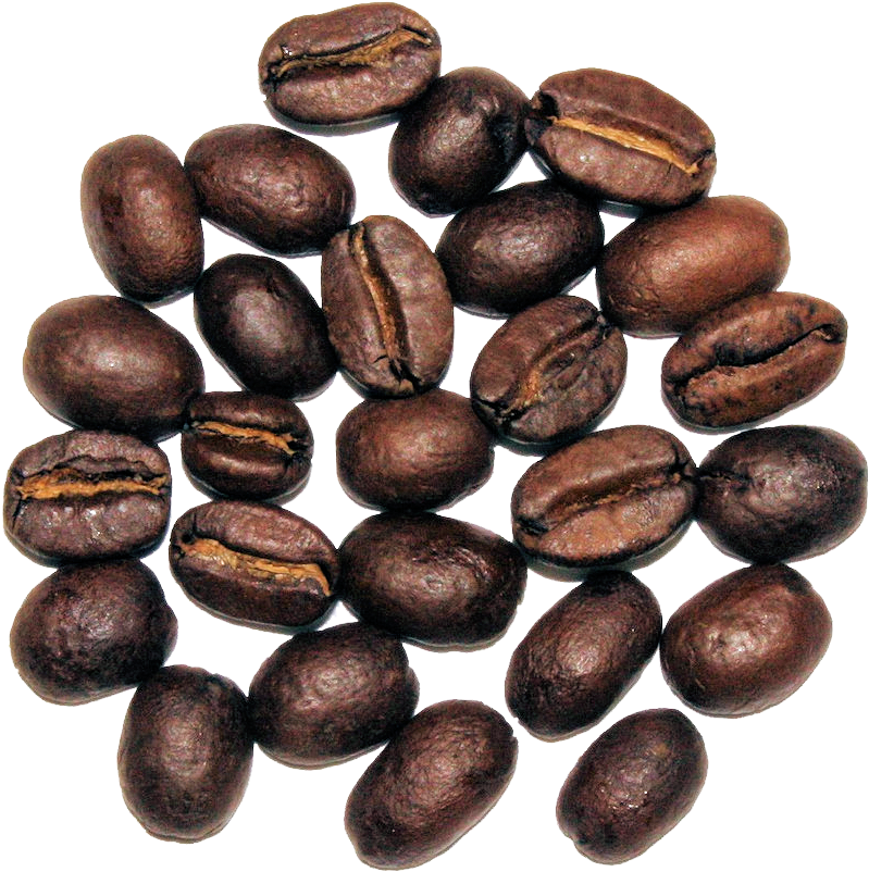 The Cultured Cup® - Seed (1024x1024), Png Download