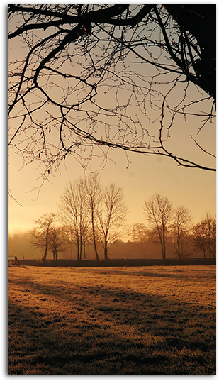Download Early Morning Mobile Wallpaper Big - Early Morning Wallpaper Hd PNG Image with No Background Download Early Morning Mobile Wallpaper Big - Early Morning Wallpaper Hd PNG Image with No Background