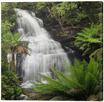 Tropical Wet Green Forest In India (400x400), Png Download