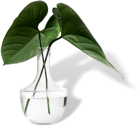 Welcome To The Global Alliance For Prevention And Early - Environmental Cleaning (500x466), Png Download