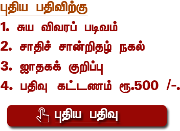 Copy - Coquelicot (410x326), Png Download