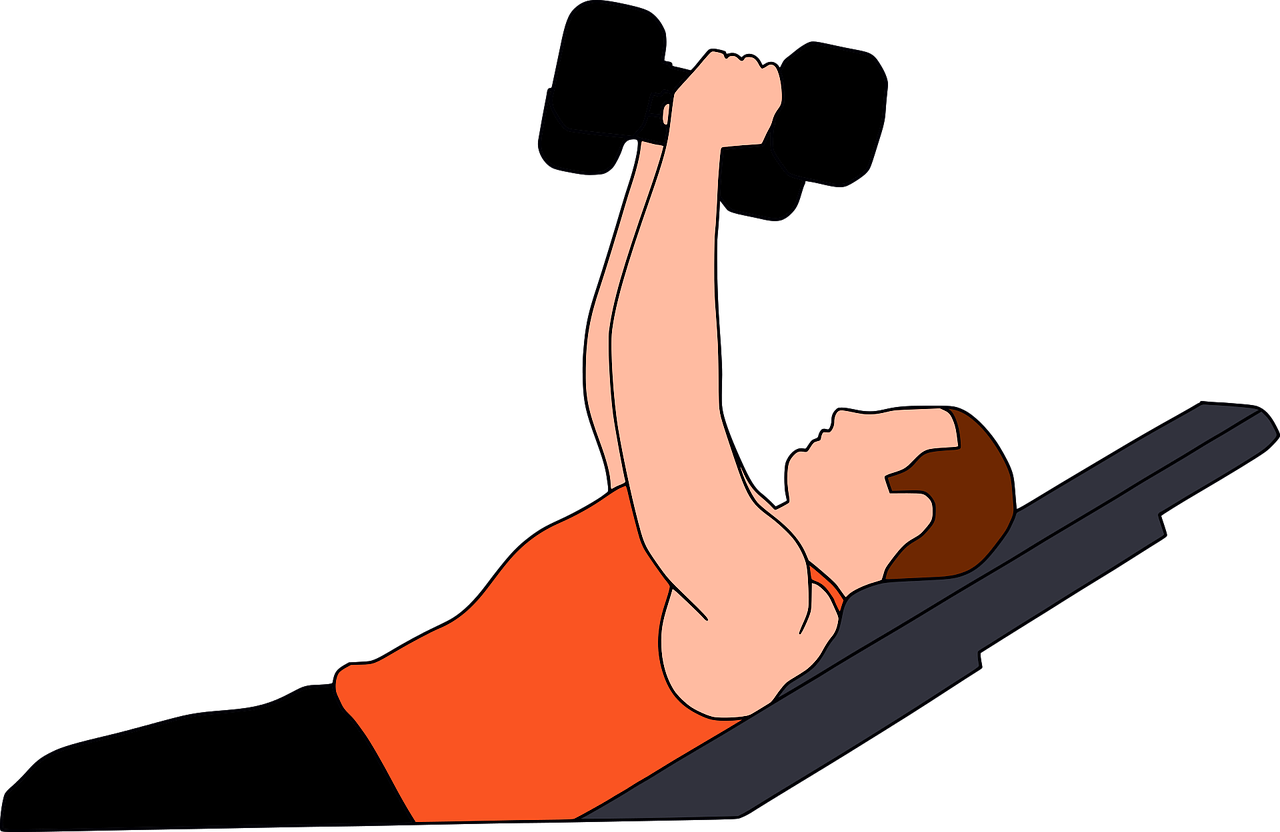 Gymnastics, Gym, Heavy, Gymnasium, Training, Workout - Beginner Weight Lifting (960x624), Png Download
