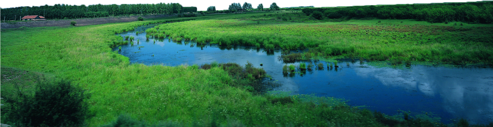 Water River Png - Field Forest Transparent (1728x1080), Png Download