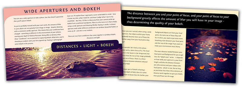 Aob - Brochure (800x293), Png Download