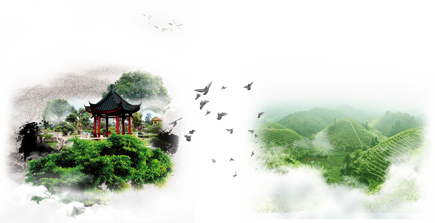 About Us - Einfache Elegante Menge Der Tauben, Die Einladung (1452x746), Png Download