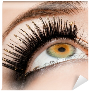 Close-up Of Beautiful Womanish Eye Wall Mural • Pixers® - Eyelash (400x400), Png Download
