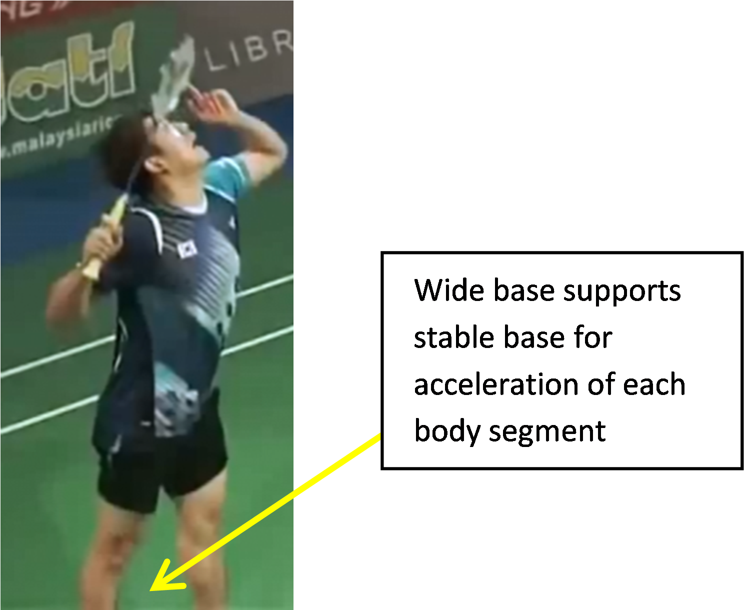 Professional Athlete Performing The Forehand Smash - Player (1488x1230), Png Download