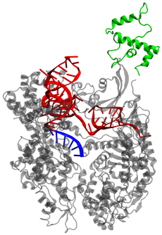 Epf Lausanne Parts Dcas9 W Registry - École Polytechnique Fédérale De Lausanne (394x394), Png Download