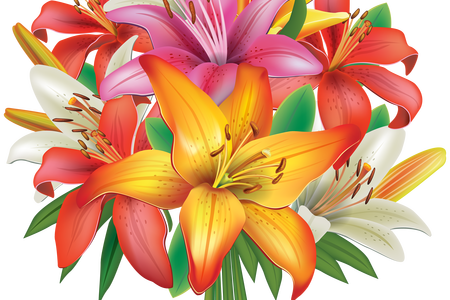 Bouquet Vector Flower Bokeh Png Royalty Free - Flower Bunch Clip Art (450x300), Png Download