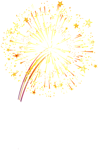 Fireworks Bloom Decoration Vector - Flower (1024x658), Png Download