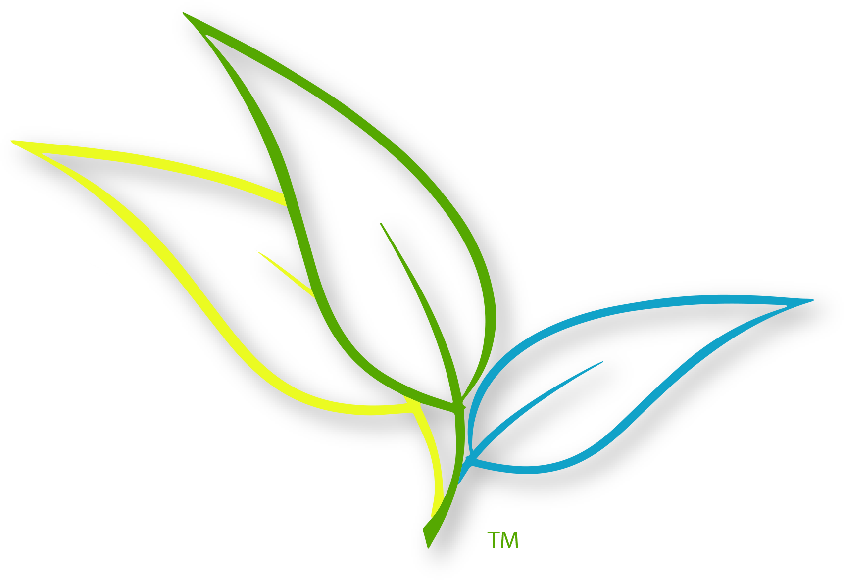 High Quality Version - Leaves (1787x1336), Png Download