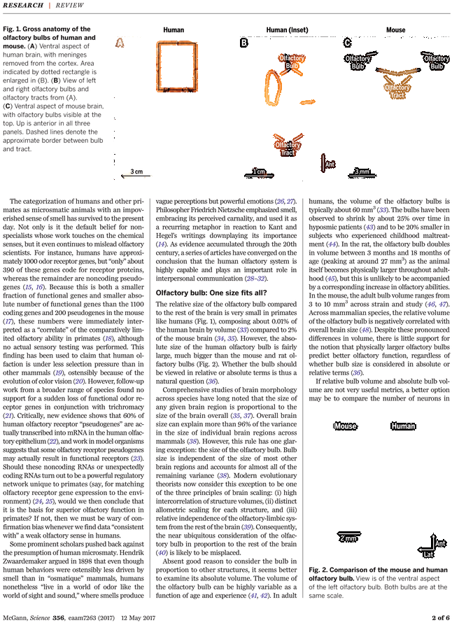 Throw Of The Dice By Stéphane Mallarmé,accompanied (729x929), Png Download