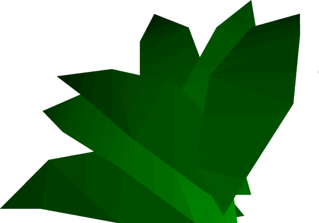 Doogle Leaves Detail - Runescape Herb (640x447), Png Download