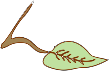 Logo Leaf Line Shoe - Clip Art (530x750), Png Download