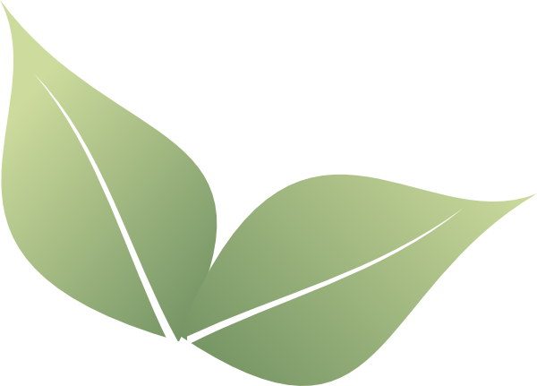 Leaf For Free Download On Mbtskoudsalg - Leaf Clipart (600x431), Png Download