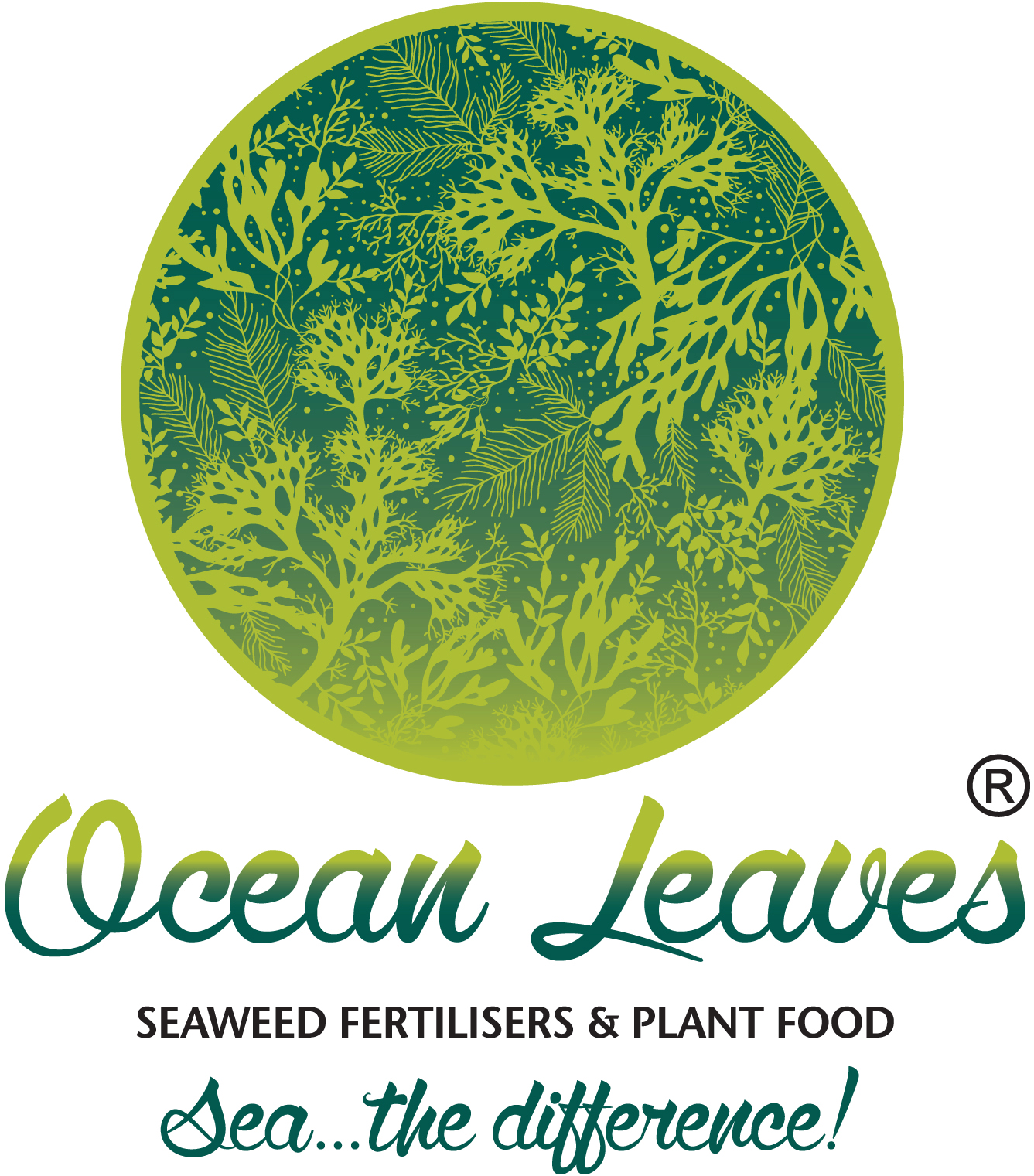 Ocean Leaves Logo - Wedding Invitation (1417x1535), Png Download