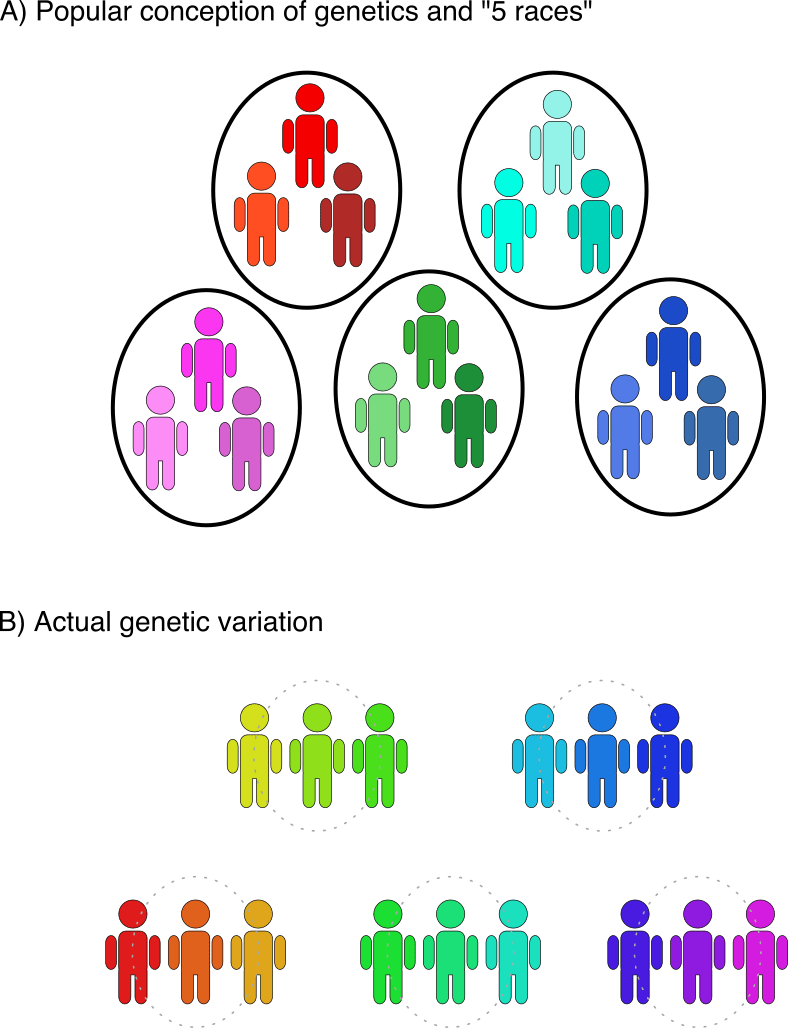 'race' Cannot Be Biologically Defined Due To Genetic - Science (788x1028), Png Download