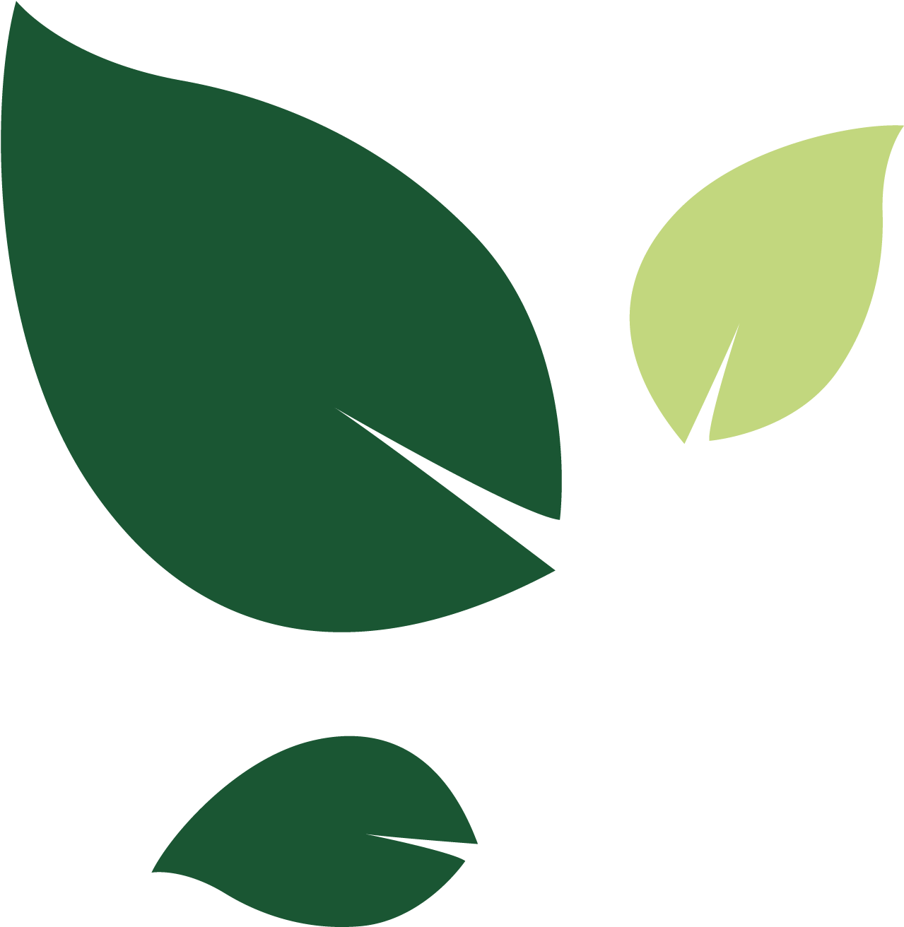 Bramley Care Leaves Left - Bramley Home Care (1445x1445), Png Download