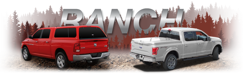 You've Found The Perfect Fit - All The Birds Of The Air: Stories Nge (980x300), Png Download