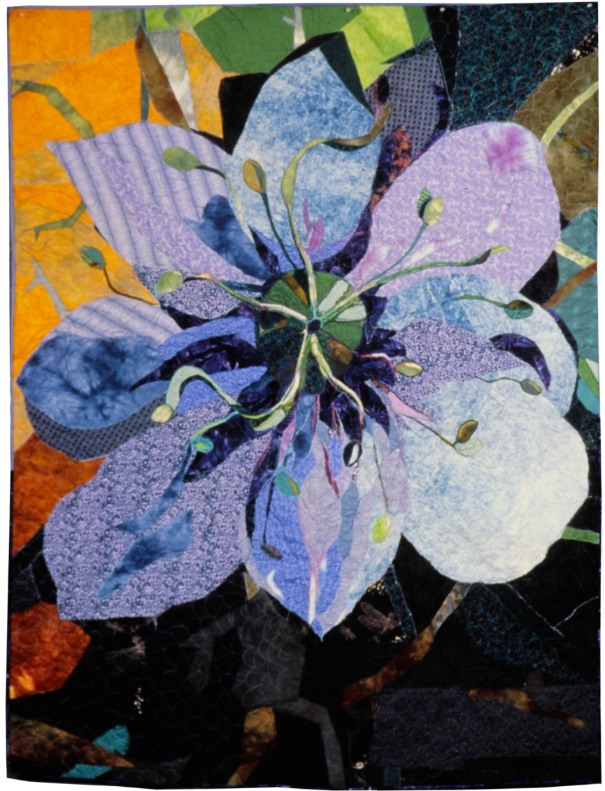 Nigella (1000x1500), Png Download