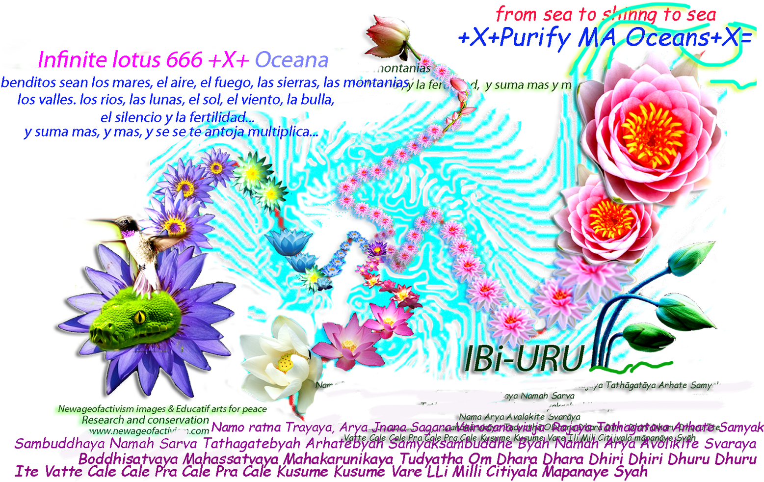 Ay, Biscochitos, Biscochos, Biscochon, Muah Muah Beso, - Water Lily Rectangle Magnet (1600x1037), Png Download