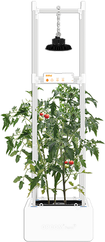 Required Fields * - Growtank (600x600), Png Download