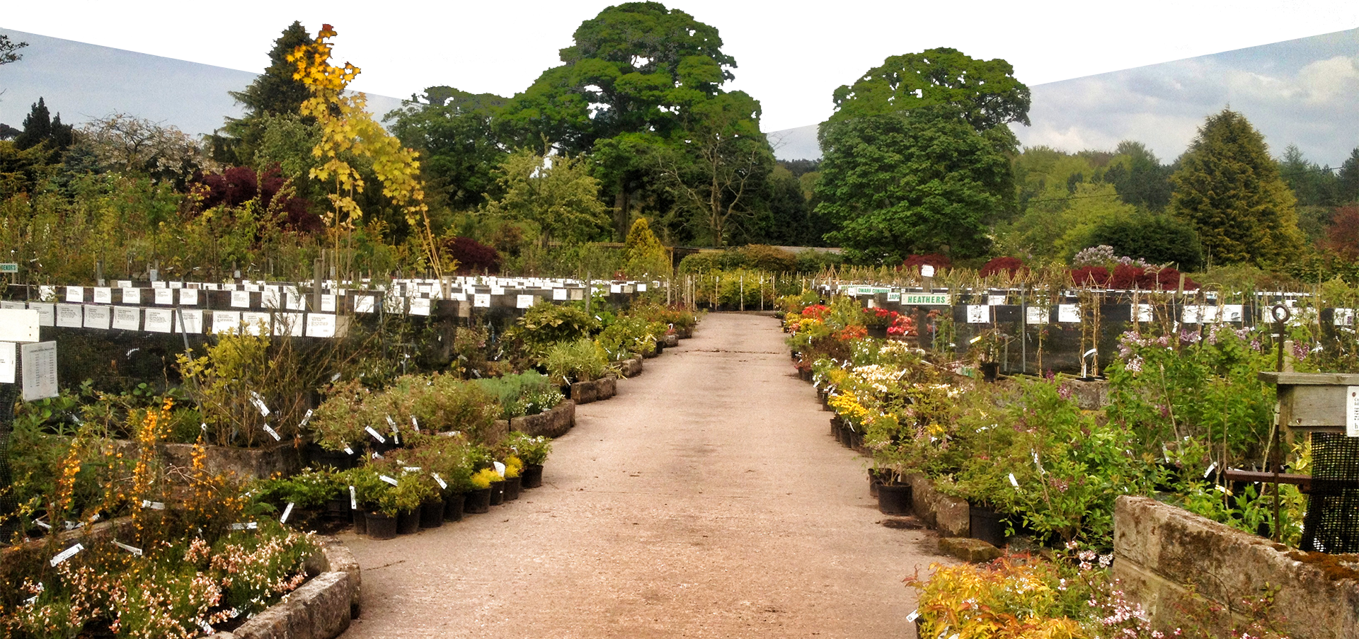 Our Aim - Botanical Garden (1920x903), Png Download