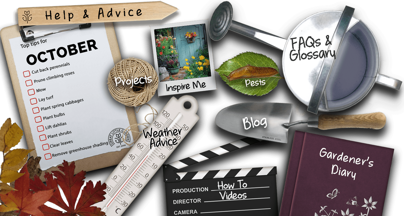 1 - Flyer (1400x750), Png Download