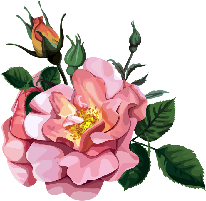 Rose Bouquet Clipart Transparent Design Patterns Studio - Bouquet Clipart Transparent (774x800), Png Download