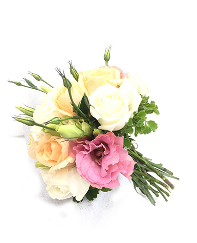 Who We Are - Hybrid Tea Rose (544x520), Png Download