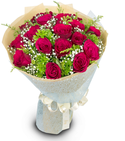 Roses Exclusive Design - Floribunda (480x480), Png Download