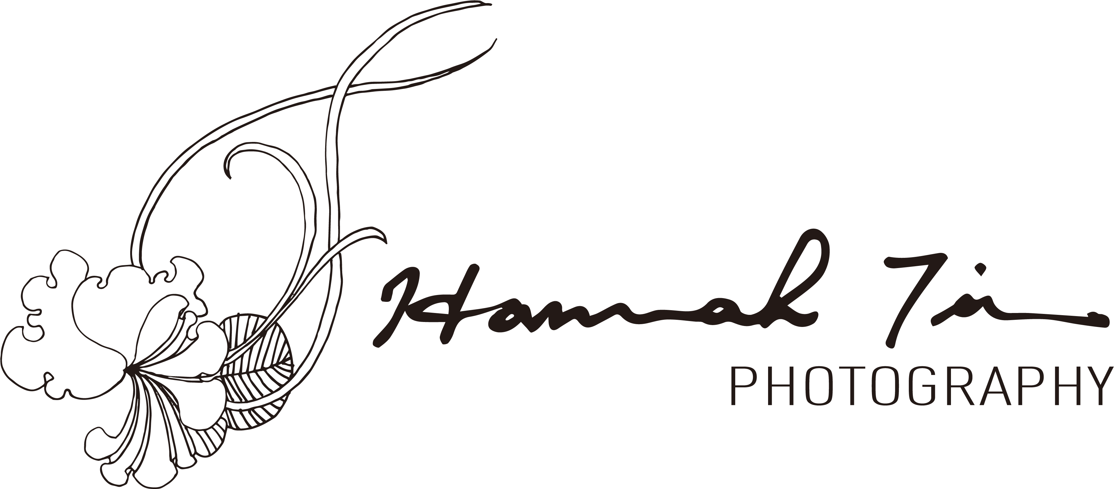 Hannah Timm Photography - Photography (3600x1577), Png Download