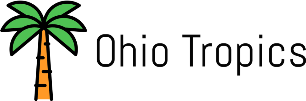 Ohio Tropics Houseplant And Tropical Plant Blog - Houseplant (1024x365), Png Download