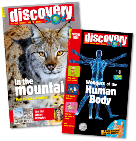 Ages 8-12 - Wild Cats (463x480), Png Download