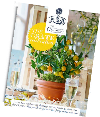 View Our Catalogue - English Marigold (400x510), Png Download