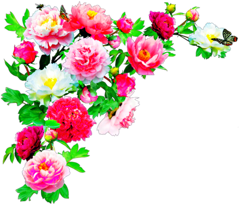 Editing Overlay And Transpa Image - Flowers Hd In Png (500x446), Png Download