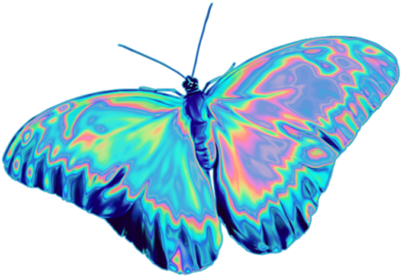 8 - Butterfly Png (500x500), Png Download
