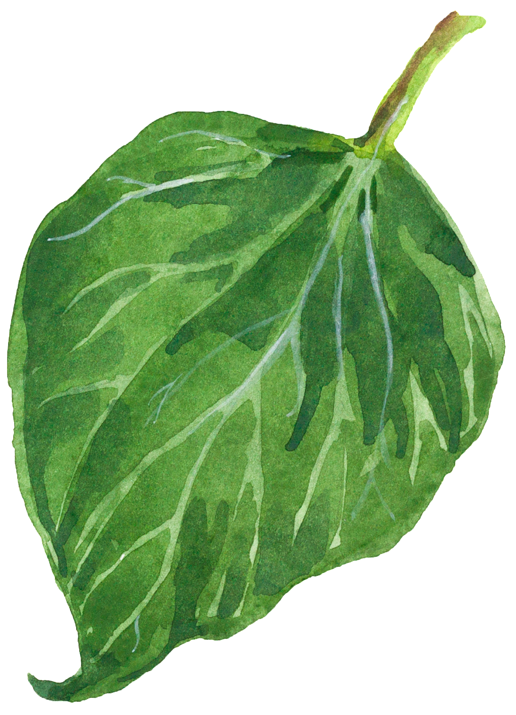 Falling Green Leaves Decorative Transparent (1024x1419), Png Download